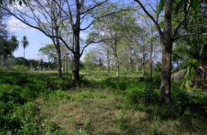 burica point panama