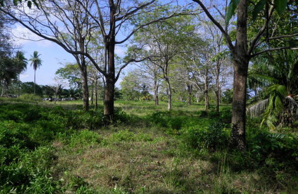 burica point panama