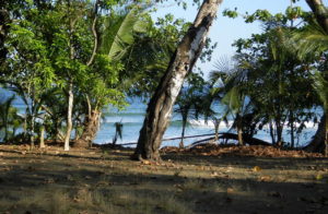 beachfront panama
