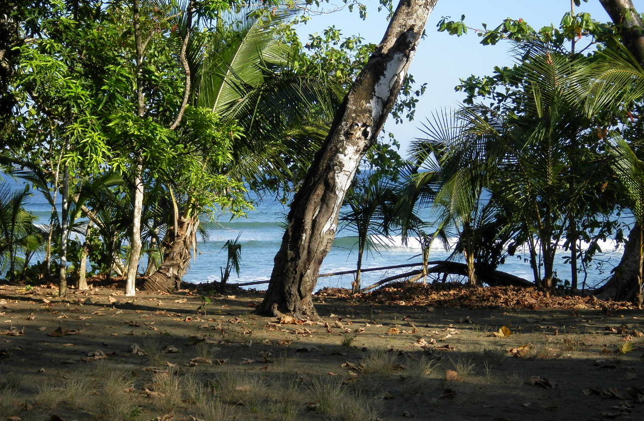 beachfront panama